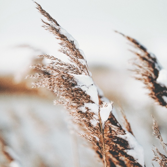 Meet your Posher, Abbi - Picture 1 of 1